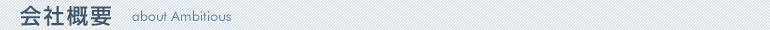ЊTv